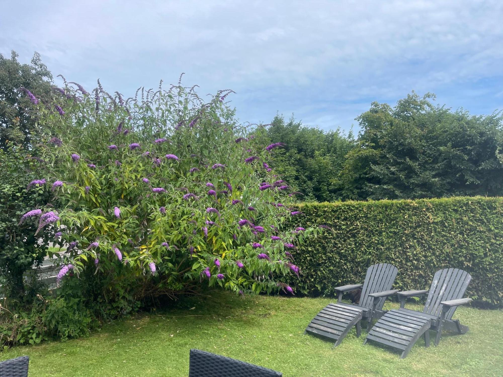 Heidis Residence-Sandkaas, Bornholm Allinge-Sandvig Eksteriør bilde